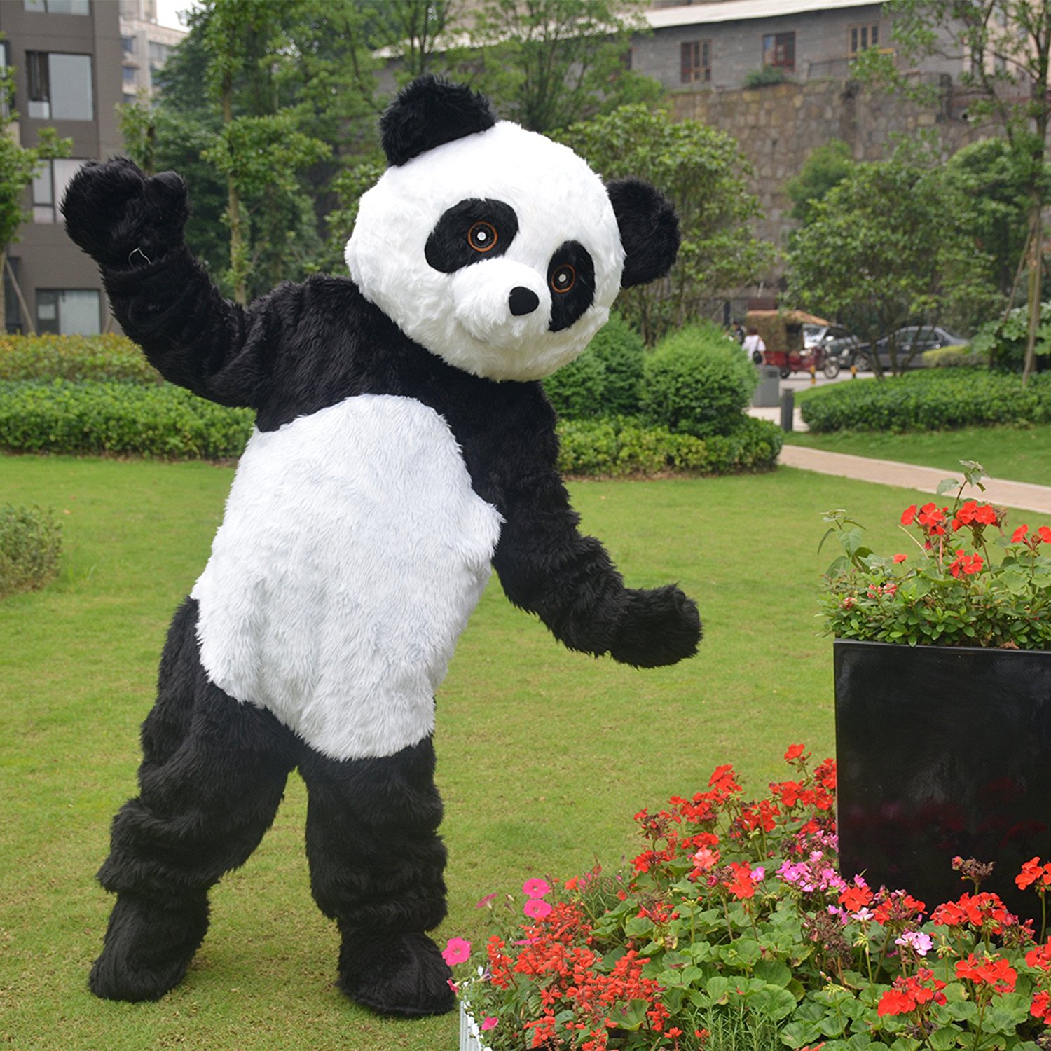 Panda amazon 178 22